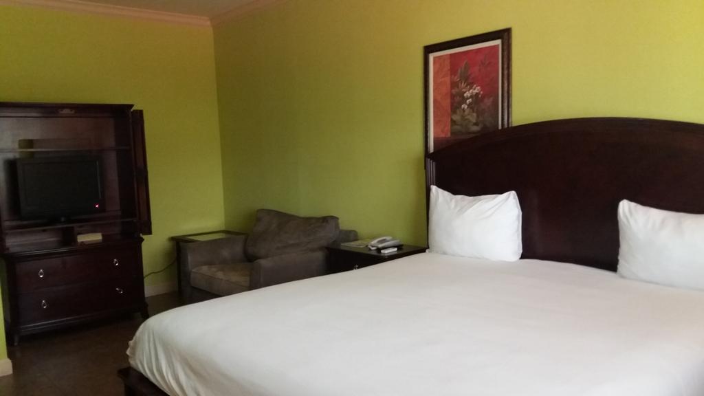 The Wexford Hotel Montego Bay Ngoại thất bức ảnh